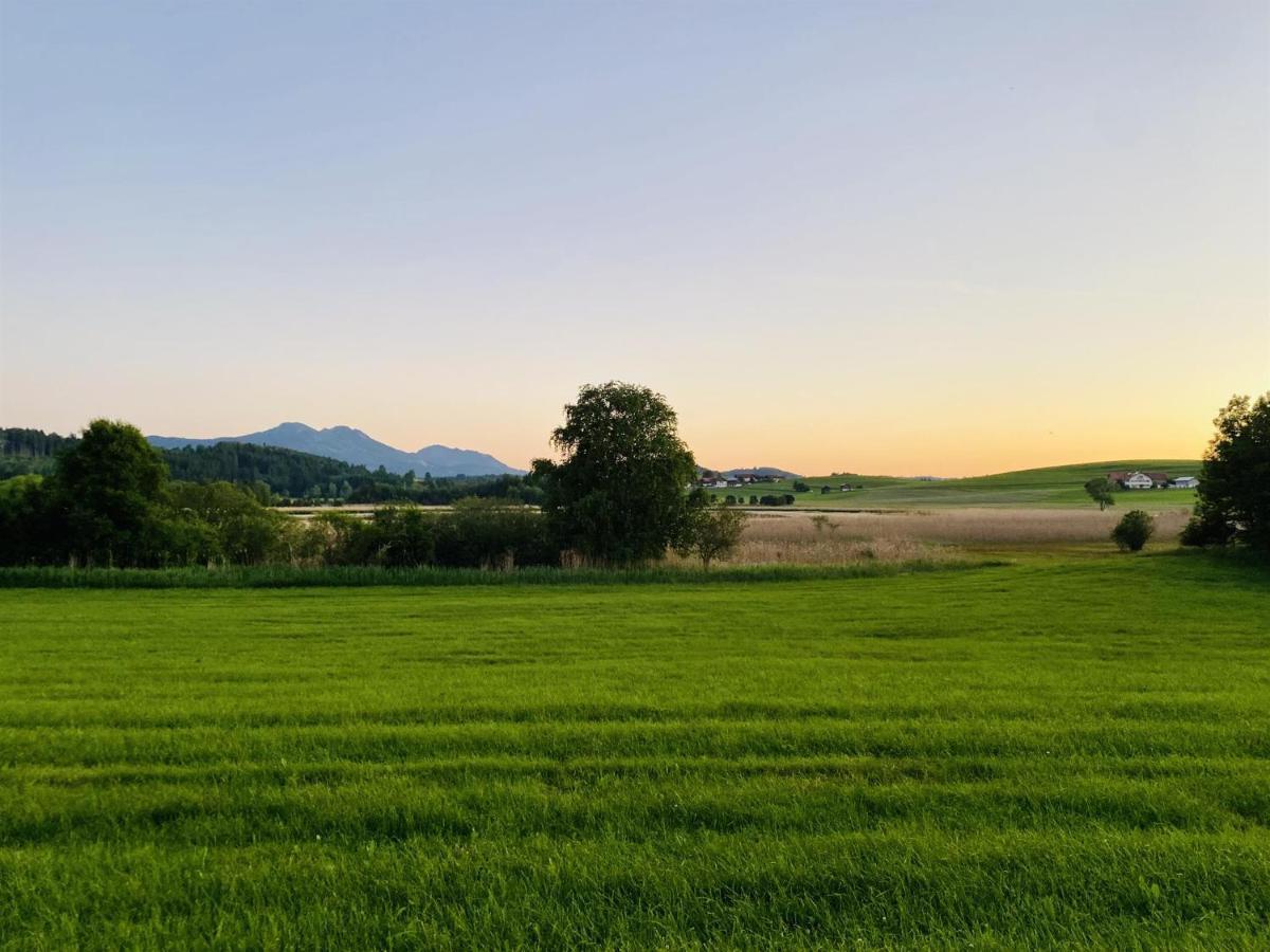 Pension Hirsch Seeg Buitenkant foto